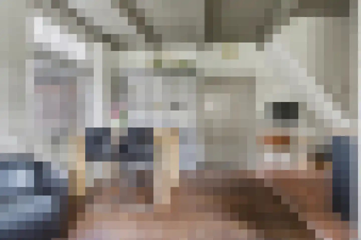 Lange Broekstraat 2 a Raamsdonk thumbnail 18