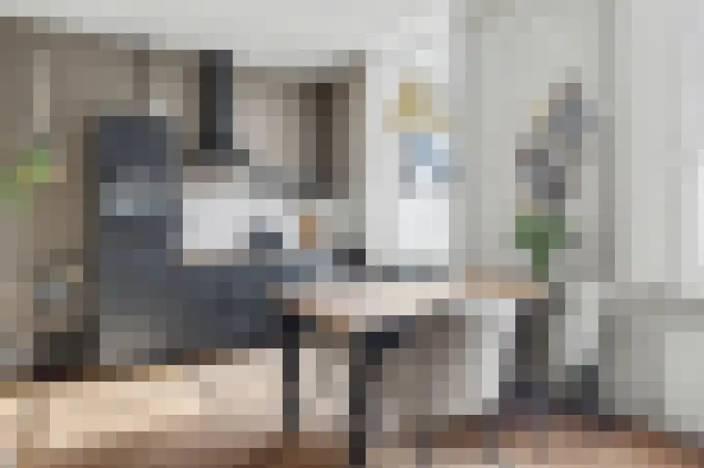 Lange Broekstraat 2 a Raamsdonk thumbnail 28