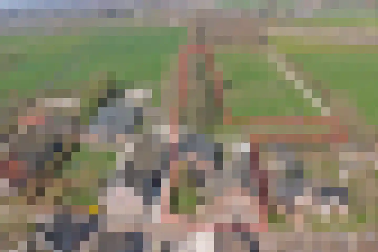 Lange Broekstraat 2 a Raamsdonk thumbnail 4