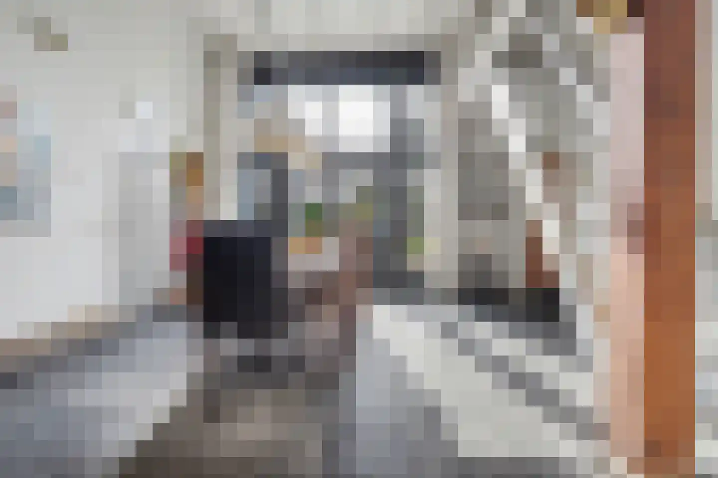 Lange Broekstraat 2 a Raamsdonk thumbnail 60