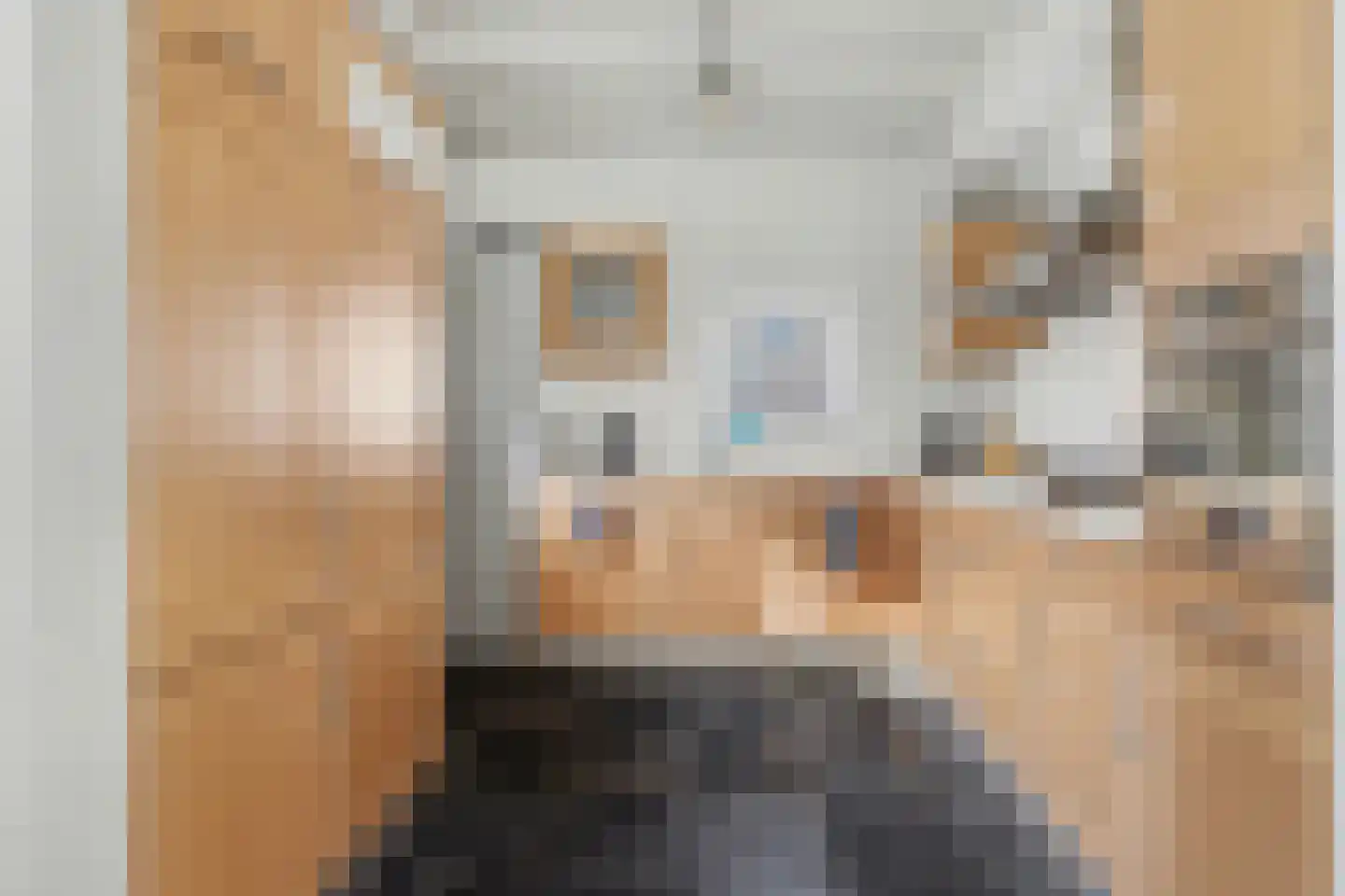Lange Broekstraat 2 a Raamsdonk thumbnail 64