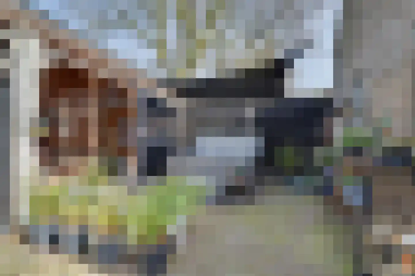 Lange Broekstraat 2 a Raamsdonk thumbnail 73