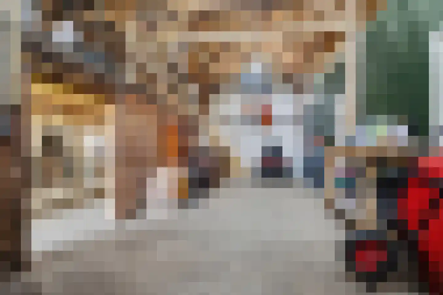 Lange Broekstraat 2 a Raamsdonk thumbnail 77
