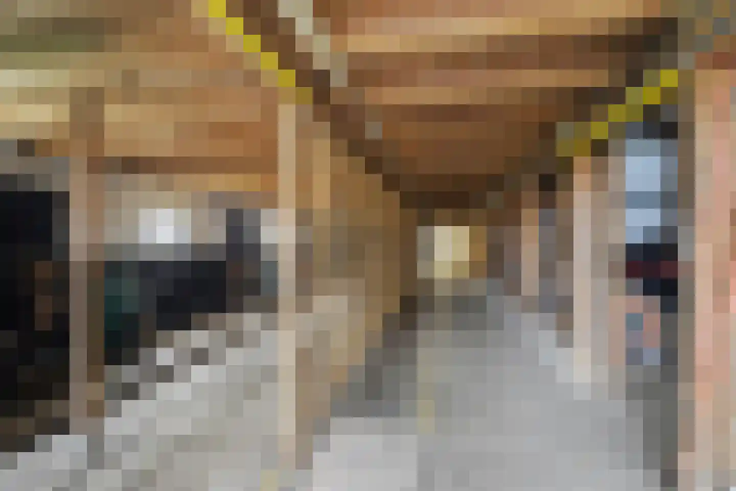 Lange Broekstraat 2 a Raamsdonk thumbnail 79