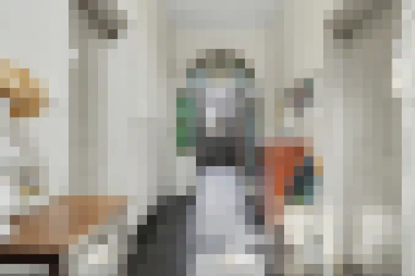 Lange Broekstraat 2 a Raamsdonk thumbnail 8