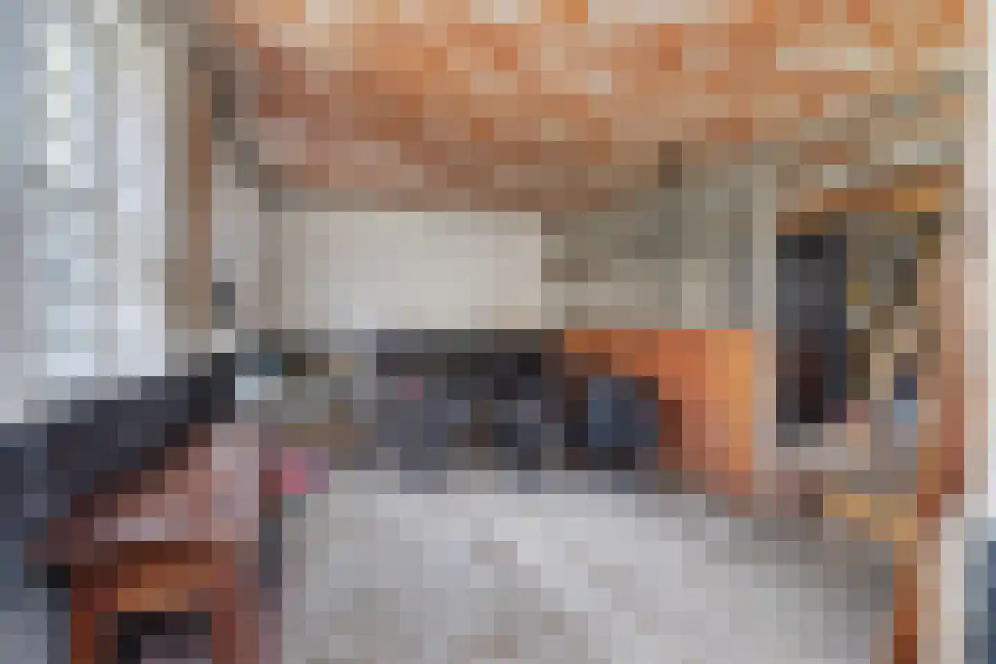 Lange Broekstraat 2 a Raamsdonk thumbnail 84