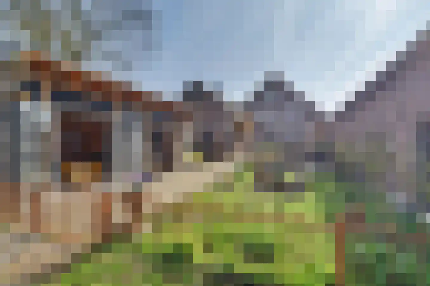 Lange Broekstraat 2 a Raamsdonk thumbnail 86