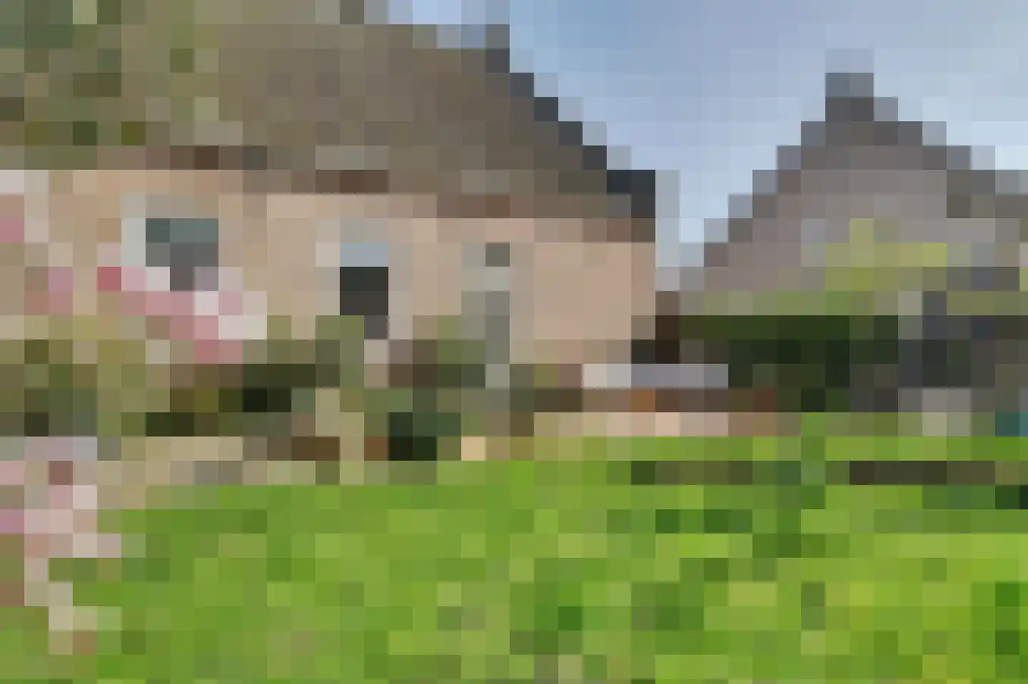 Lange Broekstraat 2 a Raamsdonk thumbnail 89