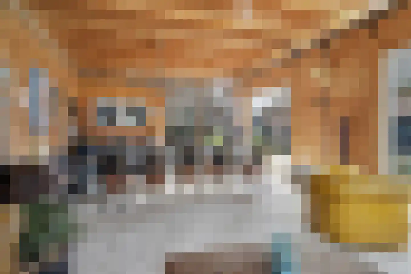 Lange Broekstraat 2 a Raamsdonk thumbnail 91