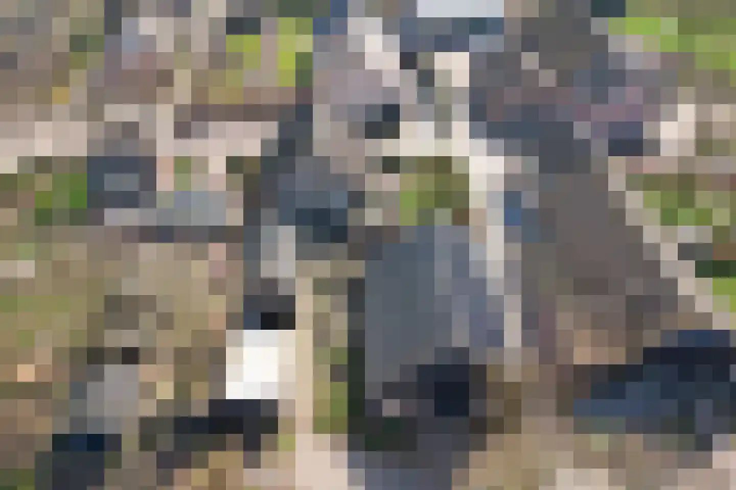 Lange Broekstraat 2 a Raamsdonk thumbnail 97