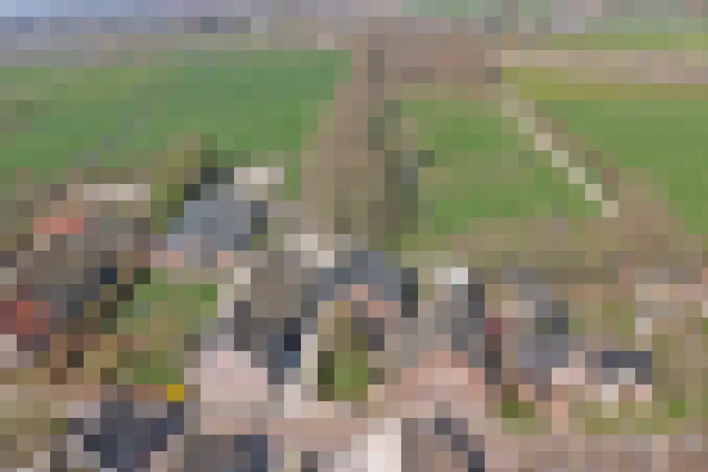 Lange Broekstraat 2 b Raamsdonk thumbnail 101