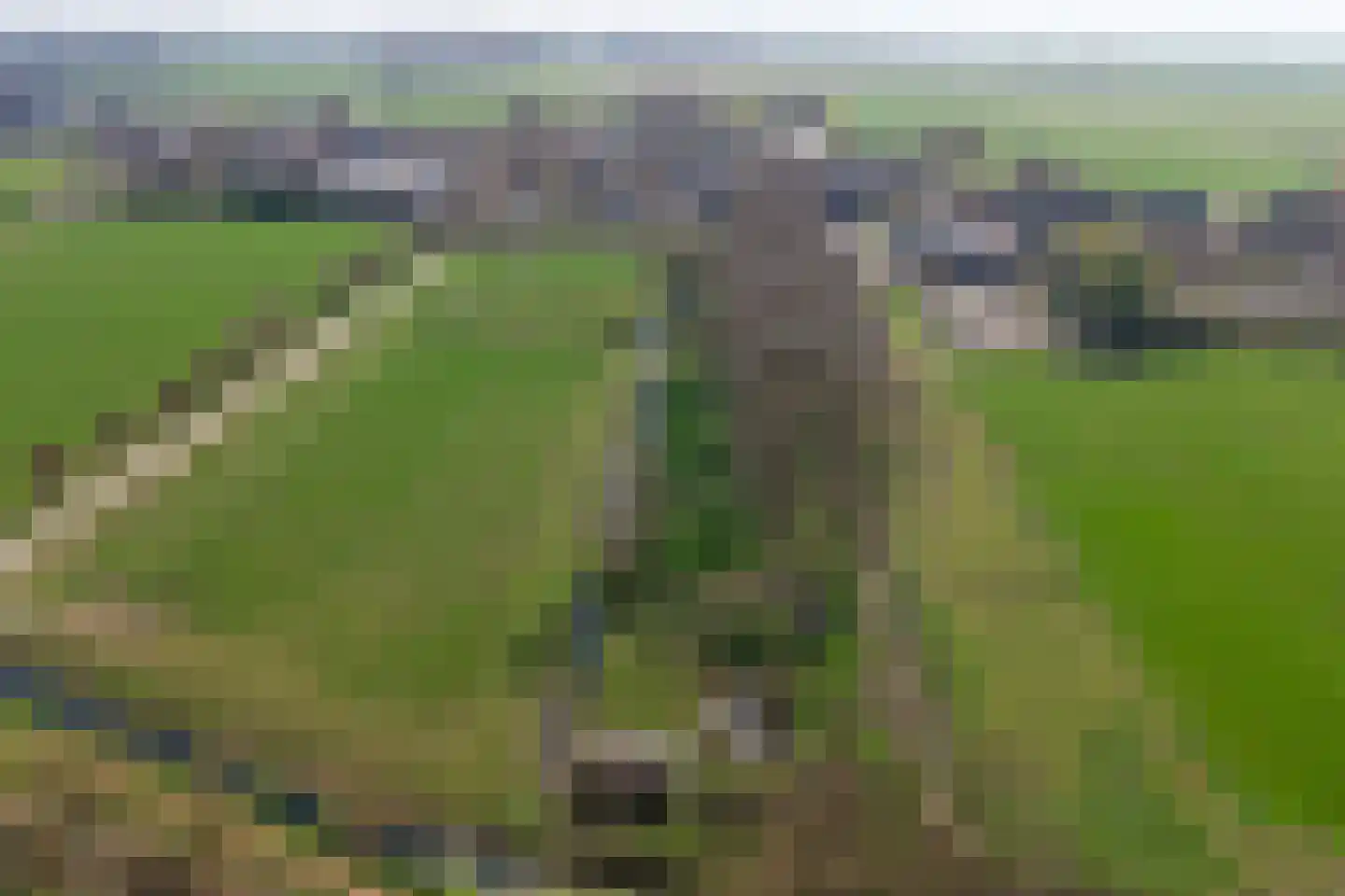 Lange Broekstraat 2 b Raamsdonk thumbnail 104