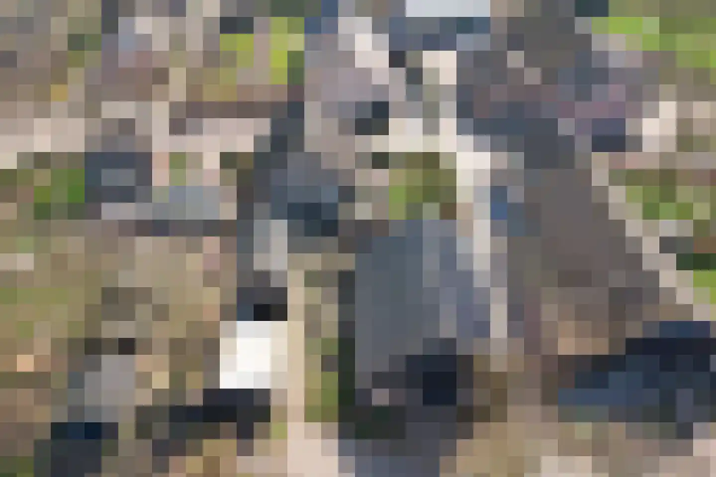 Lange Broekstraat 2 b Raamsdonk thumbnail 105