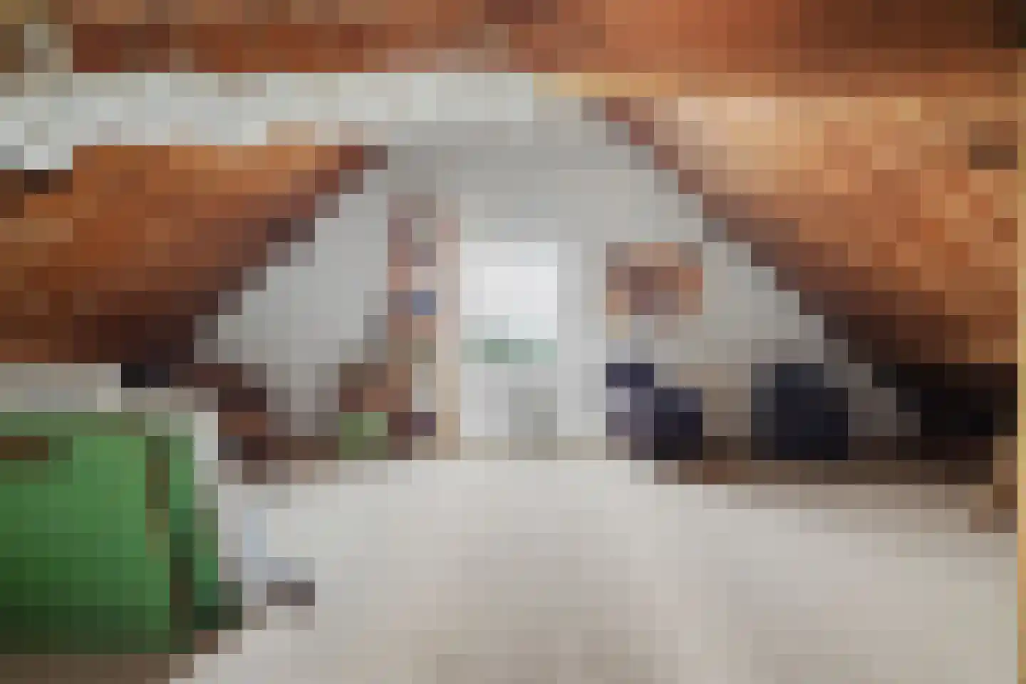 Lange Broekstraat 2 b Raamsdonk thumbnail 44