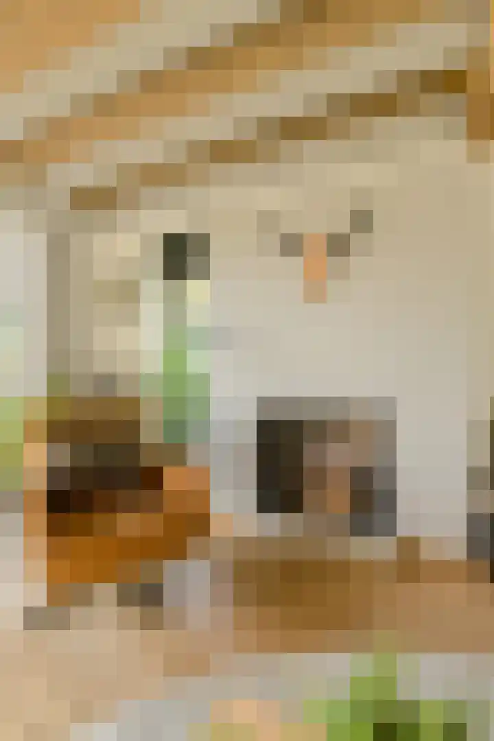Lange Broekstraat 25 c Raamsdonk thumbnail 10