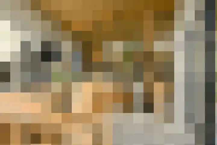 Lange Broekstraat 25 c Raamsdonk thumbnail 12