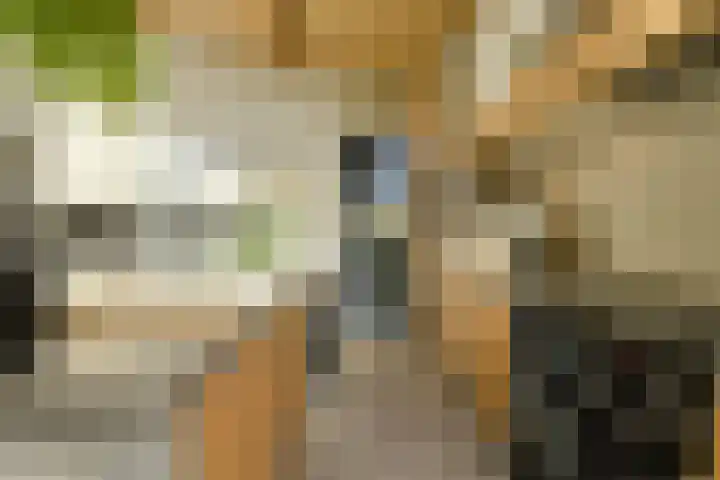 Lange Broekstraat 25 c Raamsdonk thumbnail 13