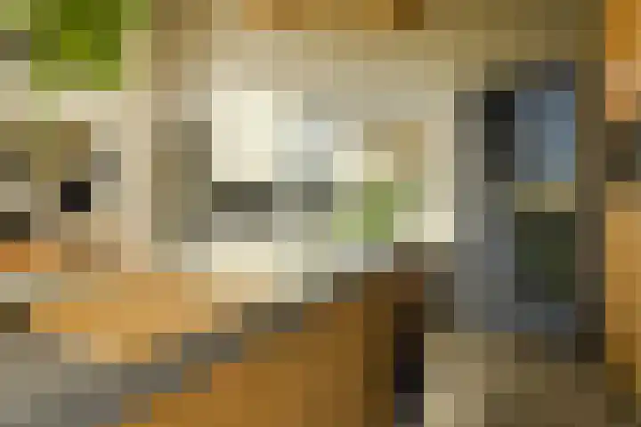 Lange Broekstraat 25 c Raamsdonk thumbnail 15