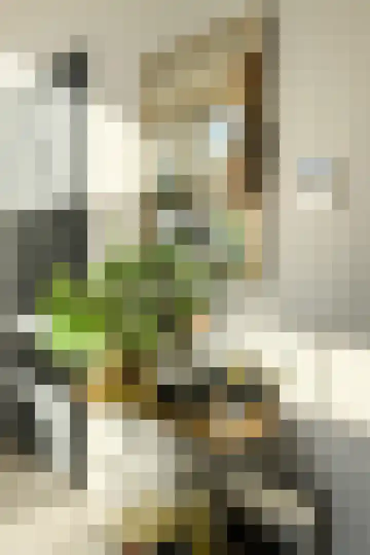Lange Broekstraat 25 c Raamsdonk thumbnail 17