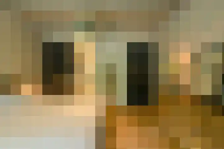 Lange Broekstraat 25 c Raamsdonk thumbnail 20