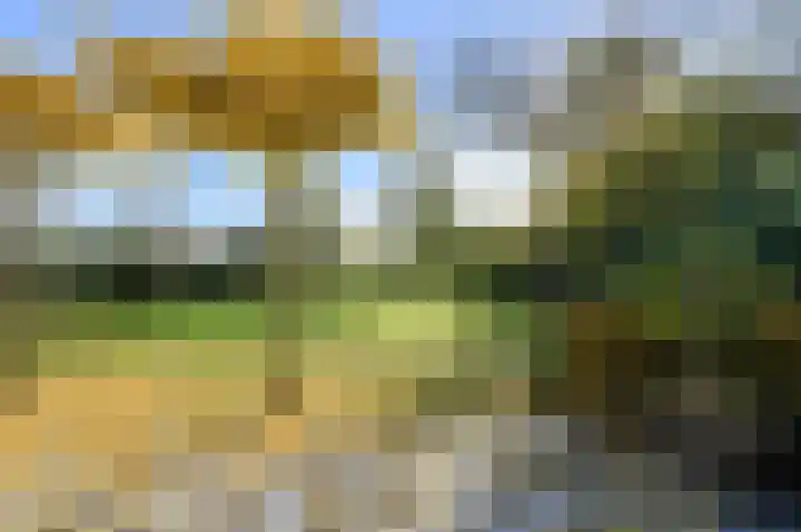 Lange Broekstraat 25 c Raamsdonk thumbnail 37
