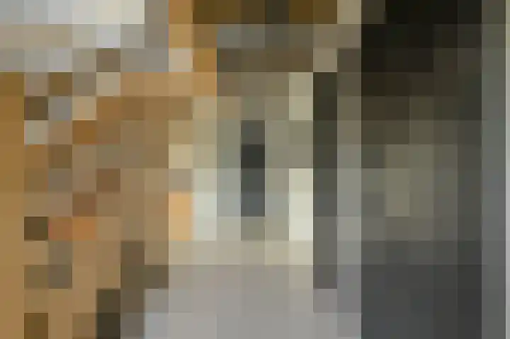 Lange Broekstraat 25 c Raamsdonk thumbnail 4