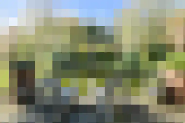 Lange Broekstraat 25 c Raamsdonk thumbnail 42