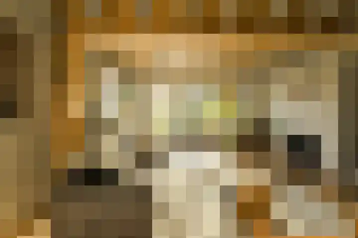 Lange Broekstraat 25 c Raamsdonk thumbnail 7