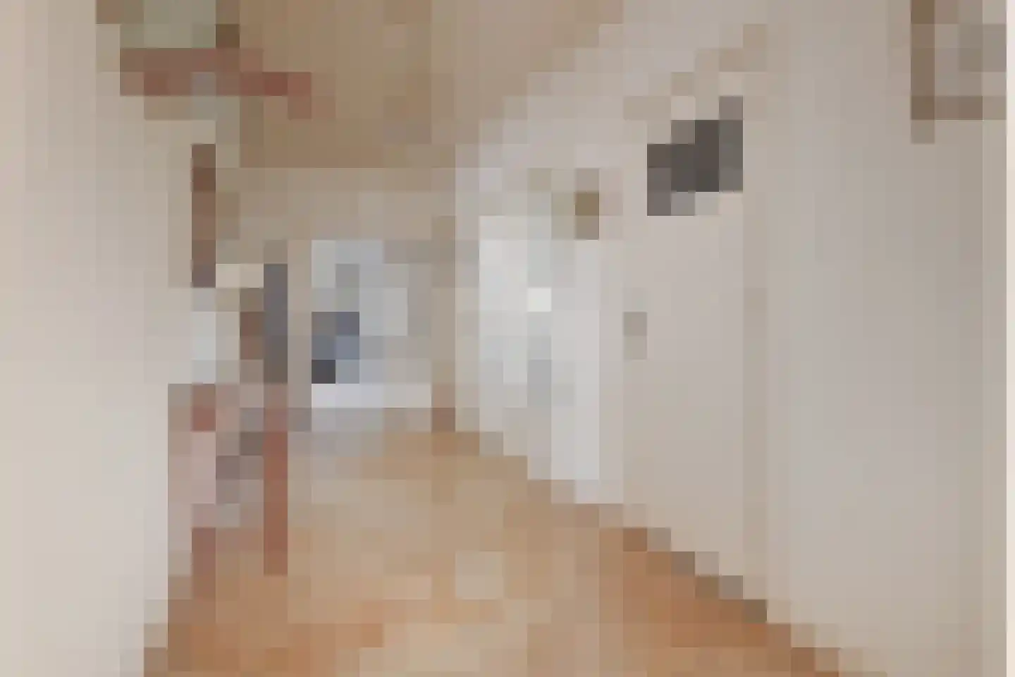 Lange Broekweg 10 Naaldwijk thumbnail 9