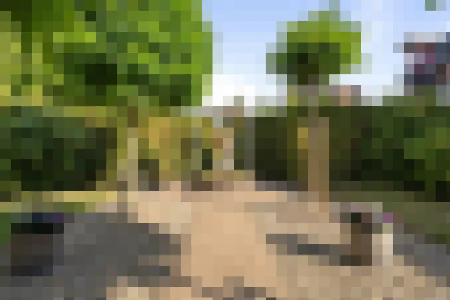 Lange Brugstraat 33 Etten-Leur thumbnail 61
