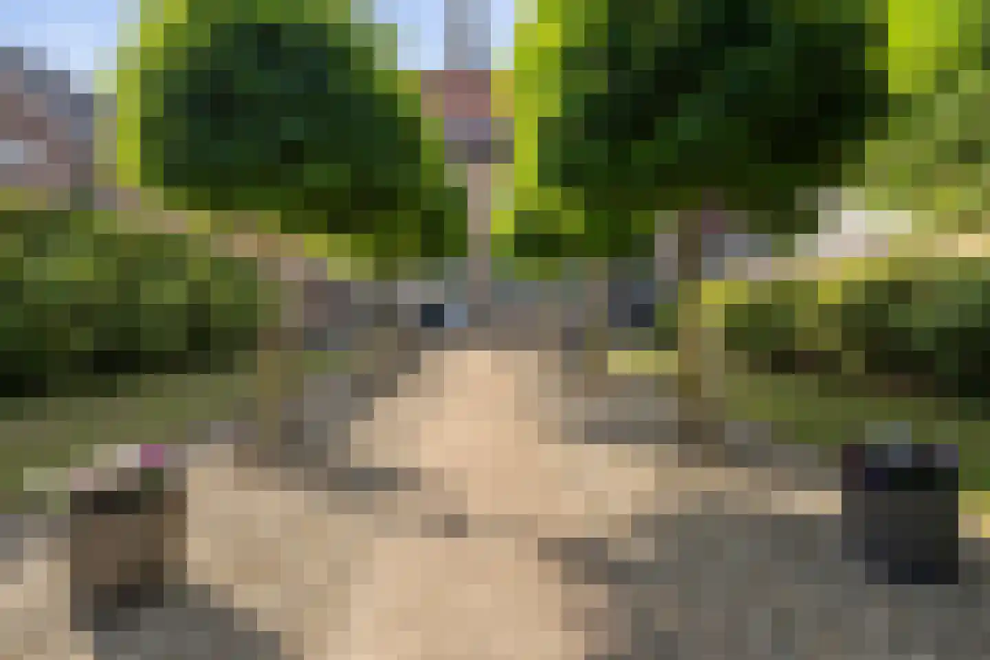 Lange Brugstraat 33 Etten-Leur thumbnail 69