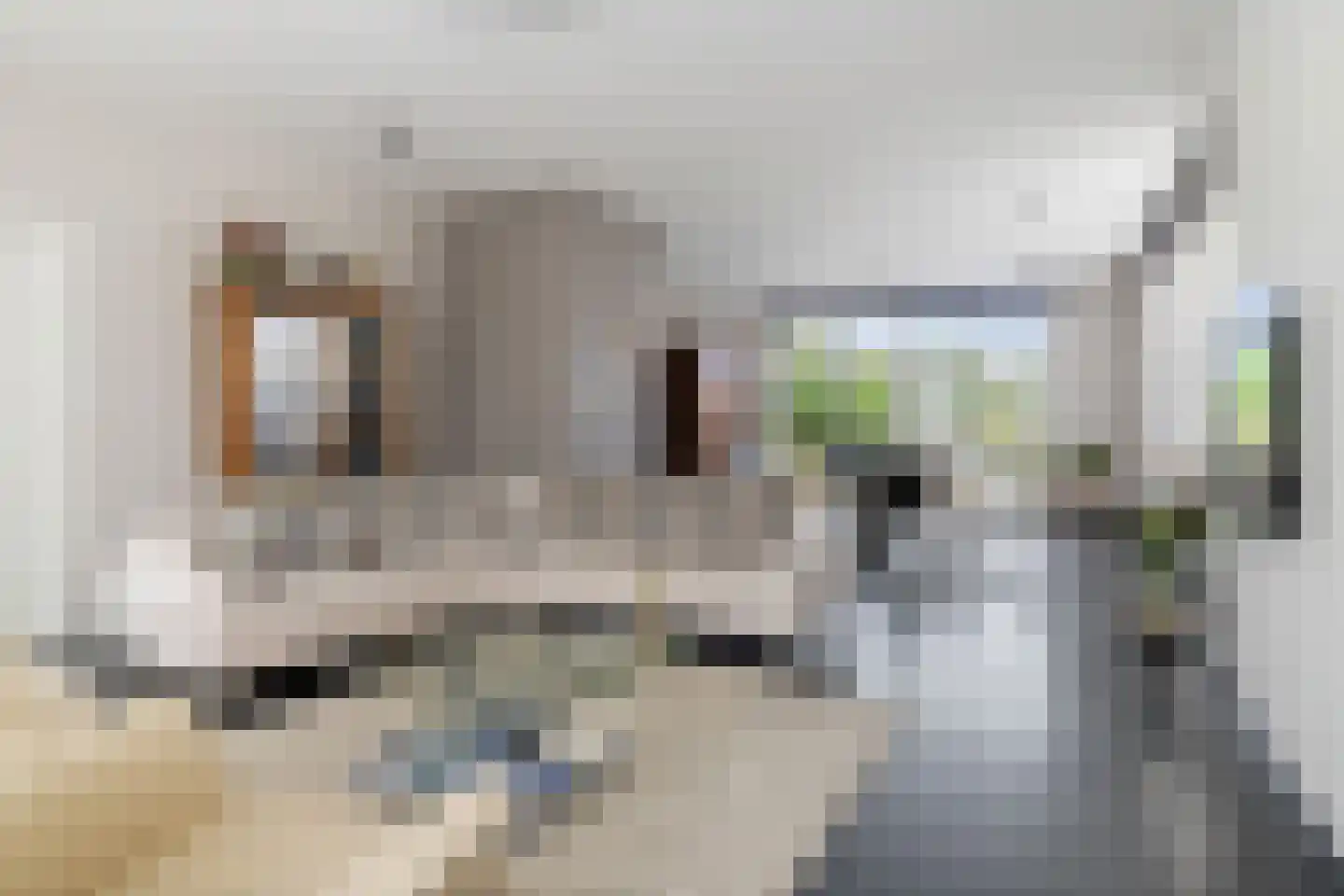 Lange Brugstraat 33 Etten-Leur thumbnail 8