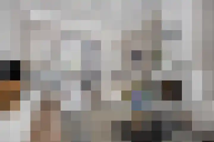 Lange Brugstraat 7 Etten-Leur thumbnail 8