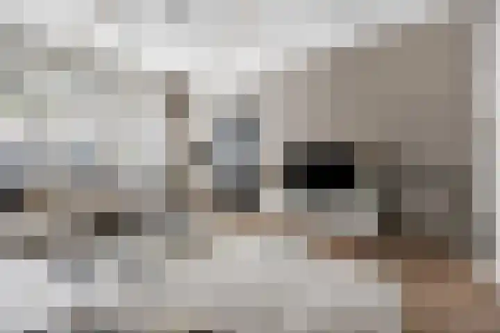 Lange Brugstraat 7 Etten-Leur thumbnail 9