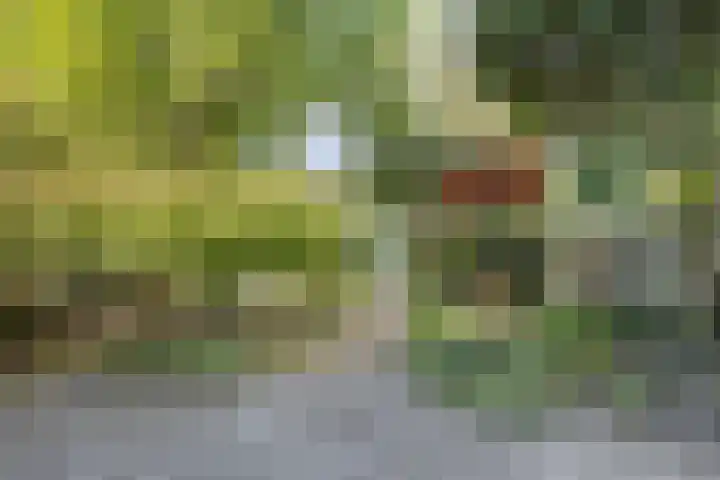 Lange Brugstraat 9 Etten-Leur thumbnail 4