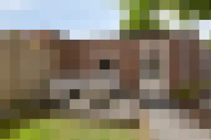 Lange Bunder 16 Bavel thumbnail 13