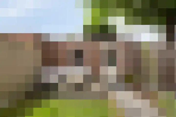 Lange Bunder 16 Bavel thumbnail 15