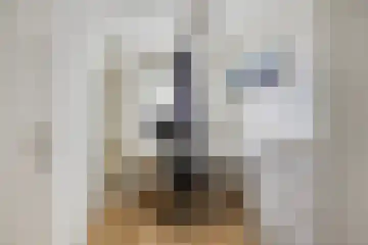 Lange Bunder 16 Bavel thumbnail 19