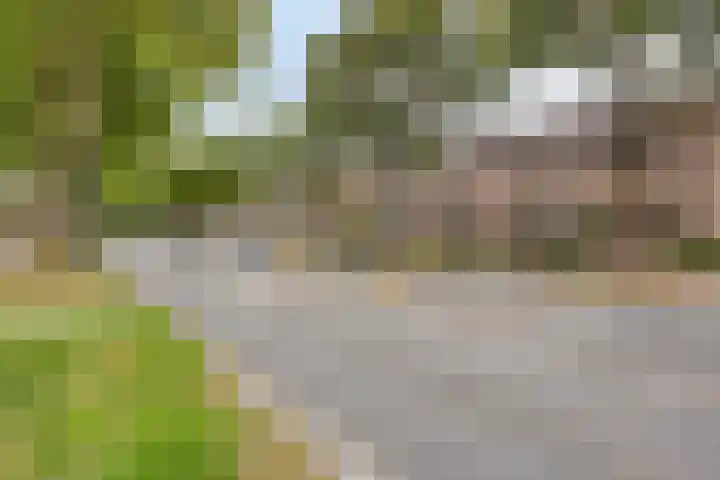 Lange Bunder 16 Bavel thumbnail 28
