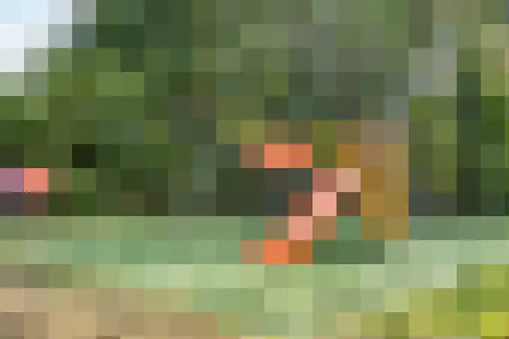 Lange Bunder 16 Bavel thumbnail 29