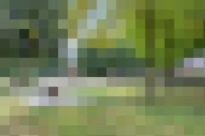 Lange Bunder 16 Bavel thumbnail 30