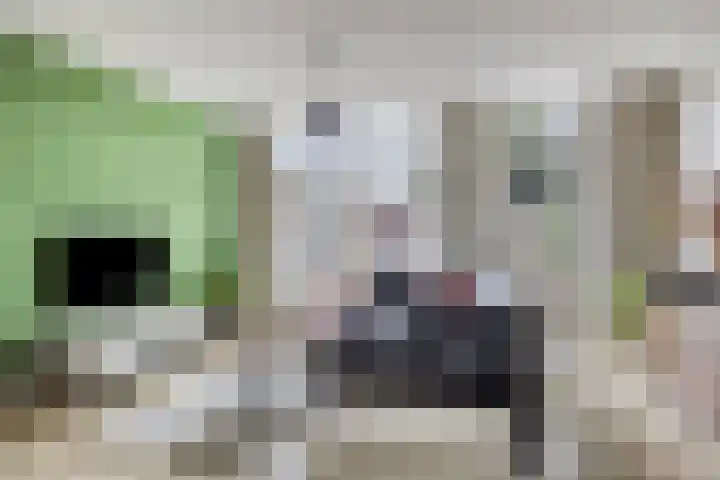 Lange Bunder 16 Bavel thumbnail 6