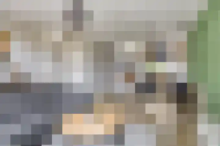 Lange Bunder 16 Bavel thumbnail 8