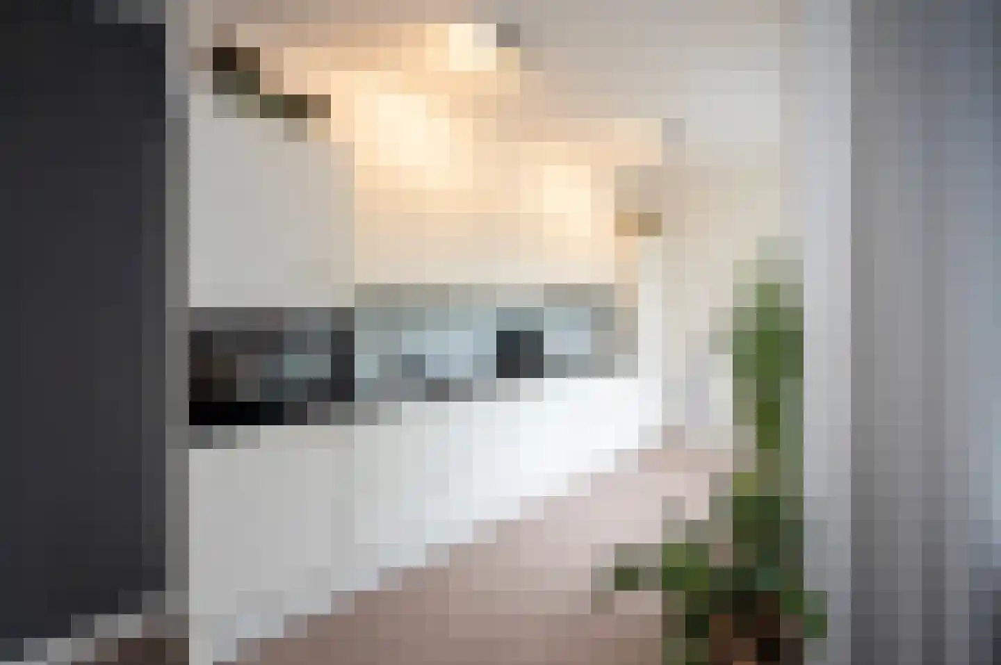 Lange Burchwal 11 Oudewater thumbnail 10