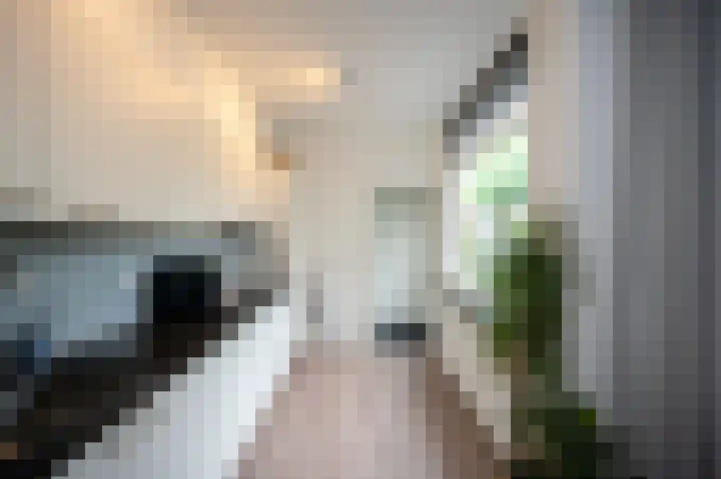 Lange Burchwal 11 Oudewater thumbnail 13