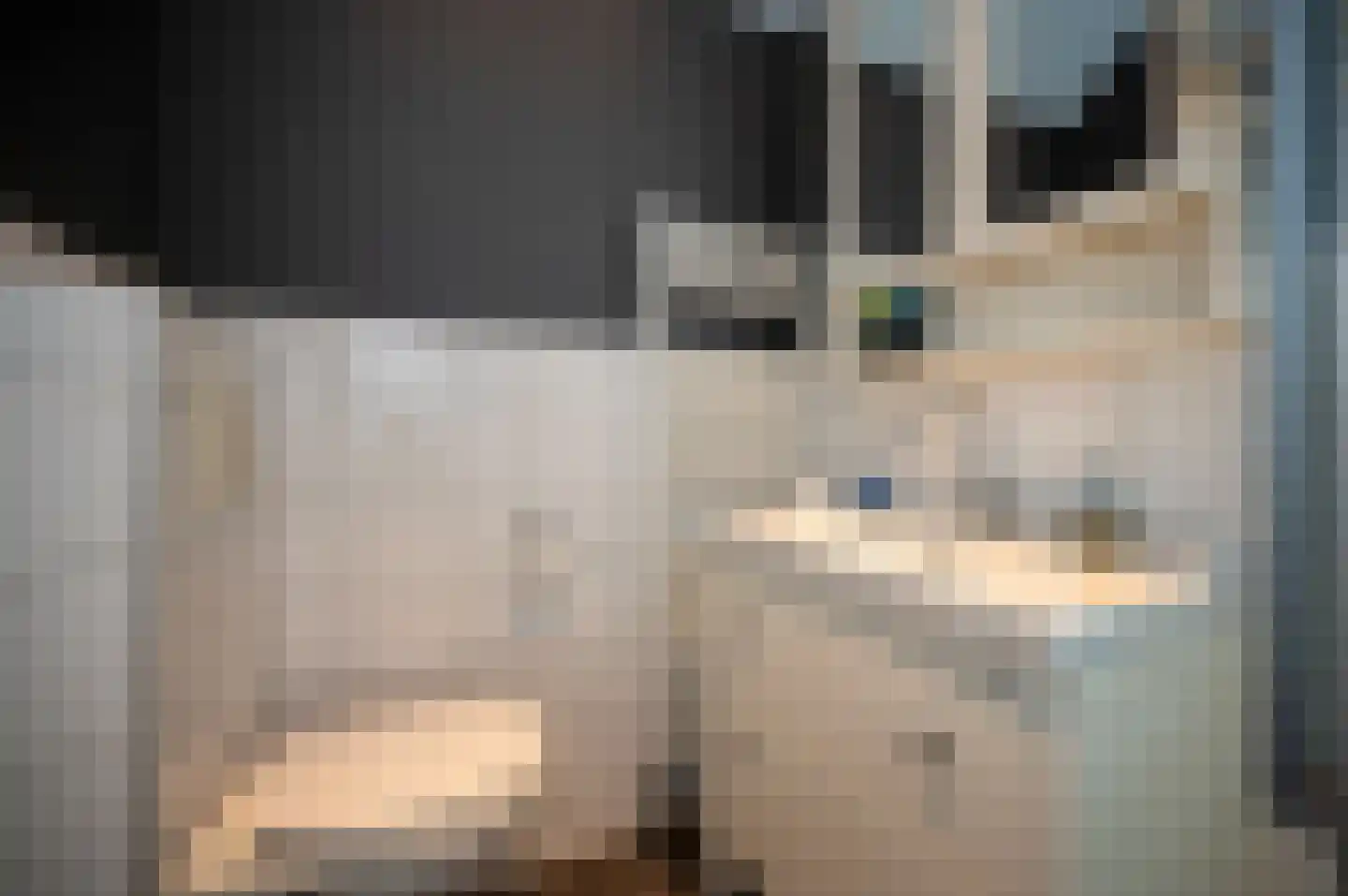 Lange Burchwal 11 Oudewater thumbnail 31