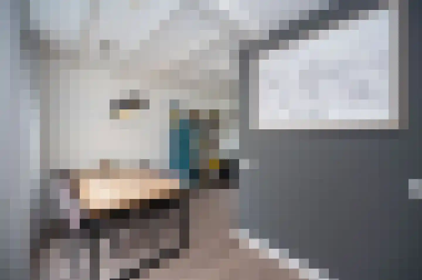 Lange Burchwal 11 Oudewater thumbnail 7