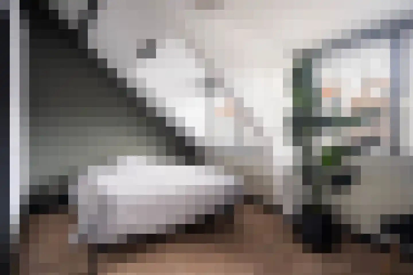 Lange Burchwal 23 Oudewater thumbnail 16