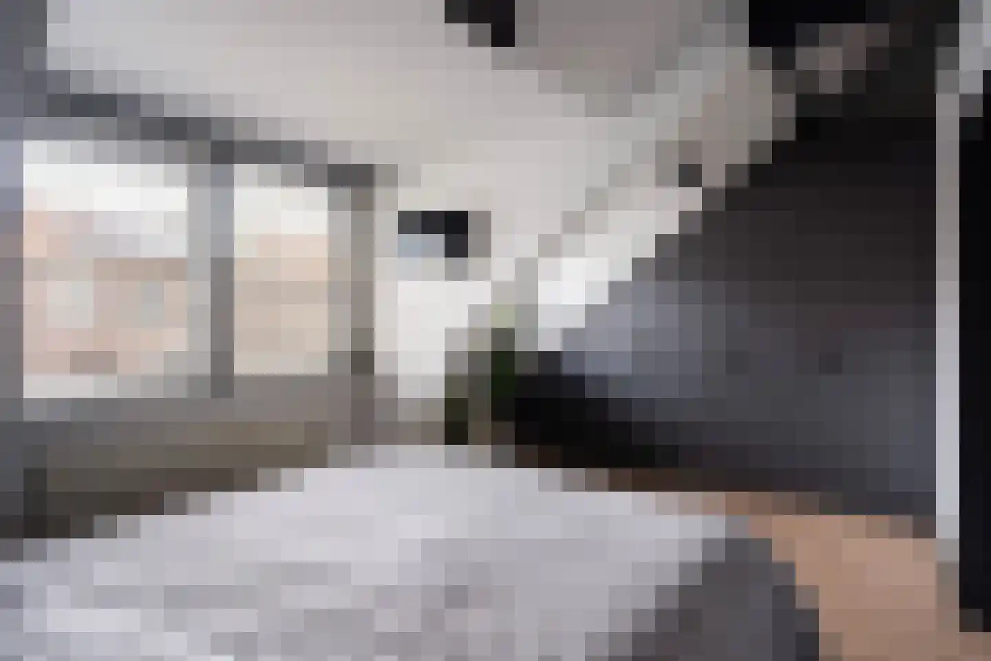 Lange Burchwal 23 Oudewater thumbnail 17
