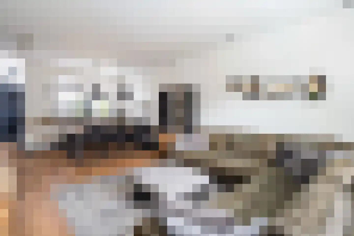 Lange Burchwal 23 Oudewater thumbnail 7